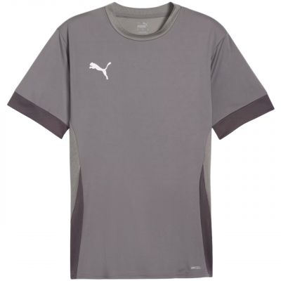 Koszulka Puma teamGoal Matchday Jersey M 705747 13