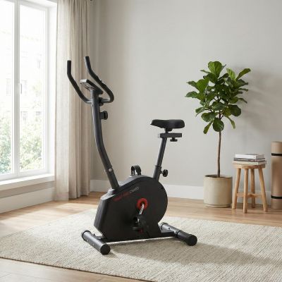 28. Rower magnetyczny Body Sculpture C1660 V2