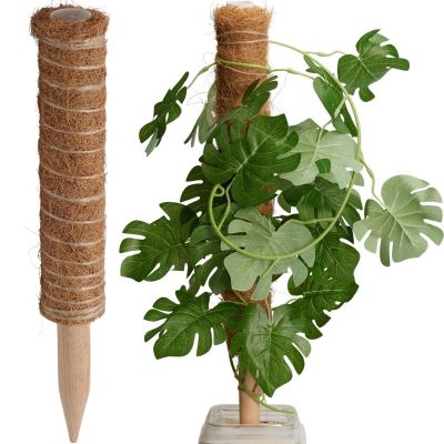 7. PODPORA DO ROŚLIN KOKOSOWA 50CM PROGARDEN