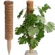 7. PODPORA DO ROŚLIN KOKOSOWA 50CM PROGARDEN