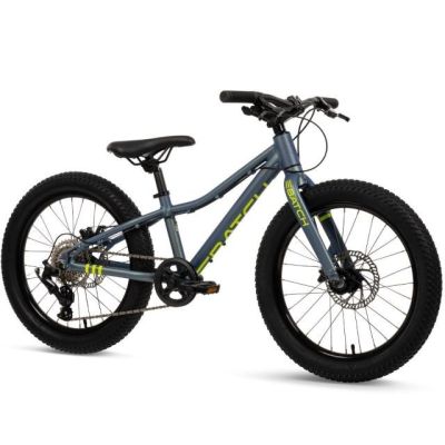 Rower MTB Batch Alu 20” chameleo (B374455W)