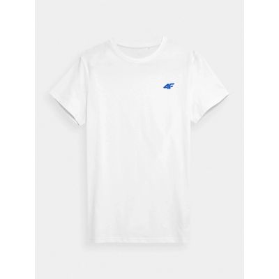 5. T-shirt męski (ZESTAW KOSZULEK 3 SZT.) 4F  4FWSS26TTSHM4479-90S