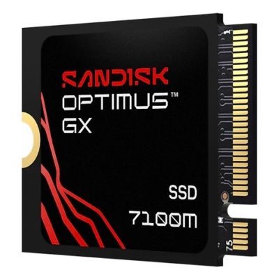 2. SSD Sandisk Optimus GX 7100M 1TB SDSP71100TAT