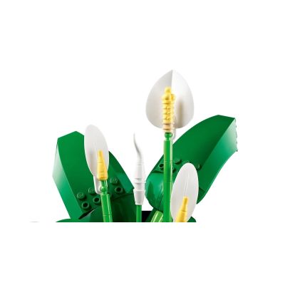 20. LEGO Botanical 11504 Skrzydłokwiat w doniczce