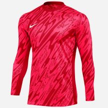 Bluza Nike Gardien V Goalkeeper DF V M FD7474-644