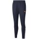 6. Spodnie Puma teamLIGA Training Pants M 657242 47