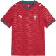 2. Koszulka dla dzieci Puma FPF Portugal Home Jersey Replica Club czerwona 783281 01