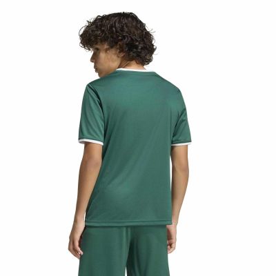 3. Koszulka adidas Junior Entrada 26 KE9834