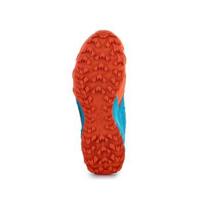 5. Buty do biegania Dynafit Feline Sl W 64054-4648