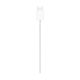 9. Ładowarka Apple MagSafe (2 m)