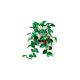 5. LEGO Botanical Collection 11512 - Wiszące epipremnum złociste