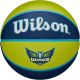 16. PIŁKA DO KOSZYKÓWKI WILSON WNBA TEAM TRIBUTE BSKT DAL WINGS R.6