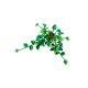 4. LEGO Botanical Collection 11512 - Wiszące epipremnum złociste
