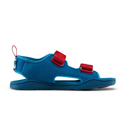 6. Sandały Affenzahn Sandal Chamude Airy Shark Jr 00392-30009