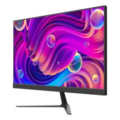 4. Monitor DS-D5024F2-BV2S