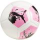 Piłka nożna Puma Big Cat mini 084215 01