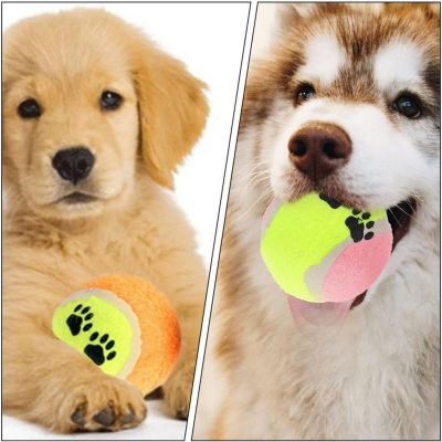 9. PIŁKA TENIS ZIEMNY DLA PSA 5SZT