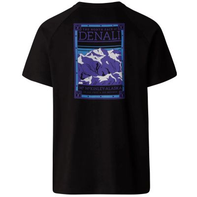 2. Koszulka The North Face M North Face Tee M NF0A87NUJK31