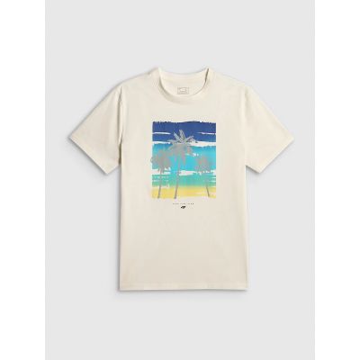 6. T-shirt regular z nadrukiem męski 4F 4FRSS26TTSHM4291-11S