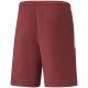2. Spodenki Puma teamLIGA M 704924 09