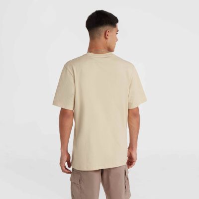 6. Koszulka O'Neill Small Logo T-Shirt M 92800613999