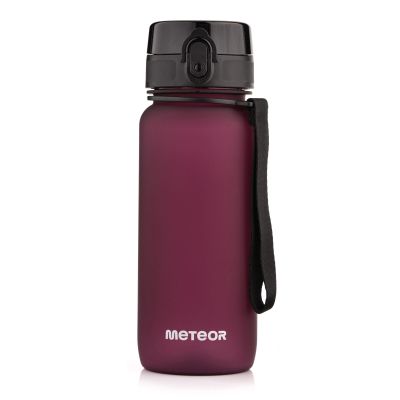 7. Bidon Meteor 650 ml 17660 bordowy
