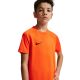 10. Koszulka dla dzieci Nike Dri-Fit Park VIII pomarańczowa HV8182 819