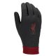 3. Rękawiczki Nike Liverpool FC Thermafit HO23 FJ4857-010