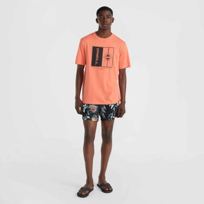 8. Koszulka O'Neill Mix & Match Palm T-Shirt M 92800613905