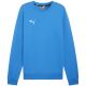 6. Bluza Puma Team Goal Casuals Crew Neck Sweat M 658592 02