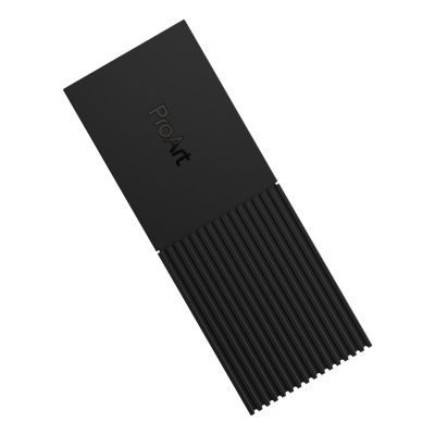 28. Obudowa na dysk SSD Asus ProArt PA40SU