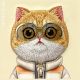 7. Etui Nimmy Cool&Cute 2.0 Cat na iPhone 16 Pro Max - zielone