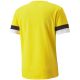 6. Koszulka Puma teamRise Jersey M 704932 07