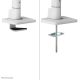 15. Neomounts DS75S-950WH2 uchwyt / stojak do monitorów 81,3 cm (32") Biurko Biały