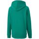6. Bluza Puma teamGOAL 23 Casuals Hoody Jr 656711 05