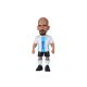 2. MINIX WC LEGENDS ARGENTINA - JUAN SEBASTIAN VERON