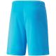 2. Spodenki Puma teamLIGA M 704924 40