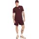5. Koszulka męska Nike Club Tee burgundowa AR4997 652