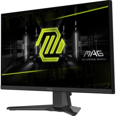 9. Monitor LCD 24" MAG 242F MSI