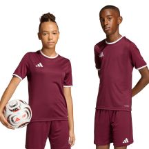 Koszulka dla dzieci adidas Entrada 26 Jersey bordowa JZ2530