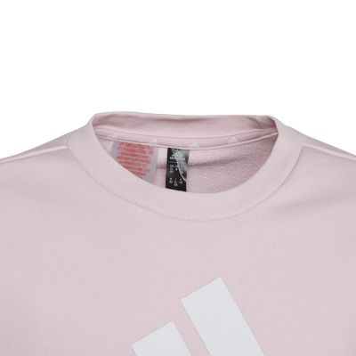 4. Bluza adidas Big Logo Swt Jr IC6119