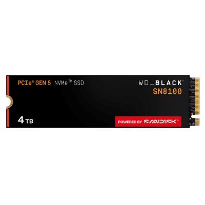 4. SSD WD Black SN8100 w/o HS 4TB  WDS400T1X0M
