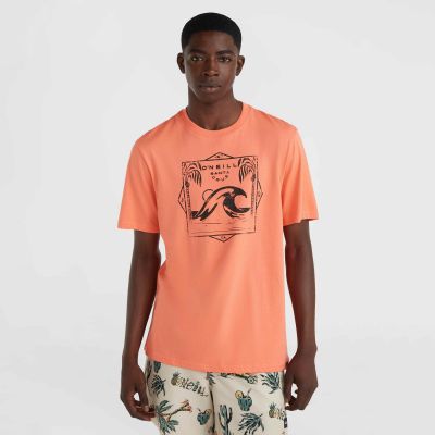 3. Koszulka O'Neill Mix & Match Wave T-Shirt M 92800613917