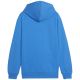 2. Bluza Puma Team Goal Casuals Hoddy Jr 658619 02