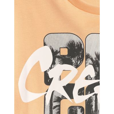 5. T-shirt bawełniany chłopięcy 4F 4FJRSS26TTSHM4167-70S