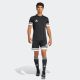 5. Spodenki adidas Squadra 25 M JH3402