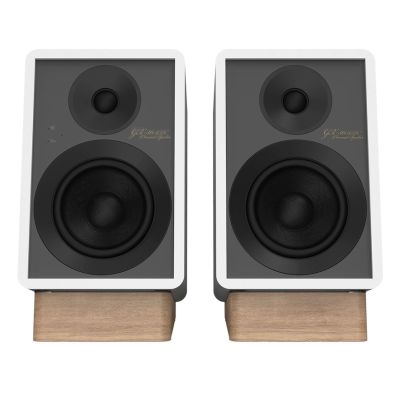 4. ONKYO GX-30ARC 2-drożny Szary, Biały Przewodowy i Bezprzewodowy 50 W