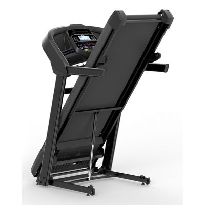 2. Bieżnia elektryczna HORIZON FITNESS T202-26