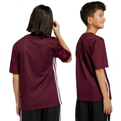 10. Koszulka adidas Tabela 23 Jersey Jr IB4933
