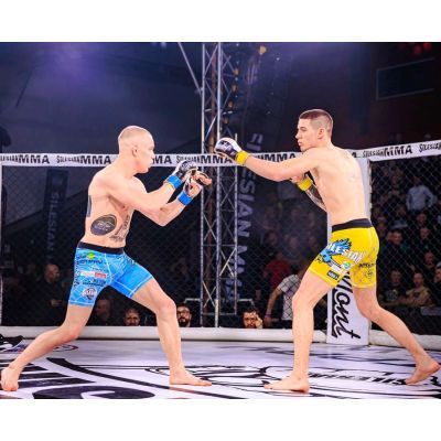 14. Rękawice MMAsparingowe S/M - Undefeated - Valor Series